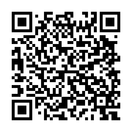 QR code for PUB096
