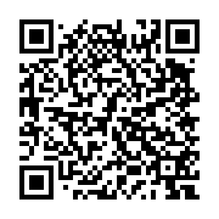 QR code for plate PUE 450