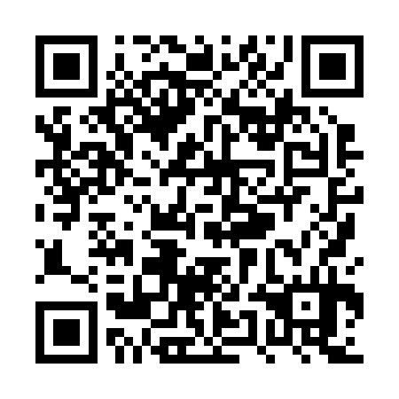 QR code for plate PUH 234