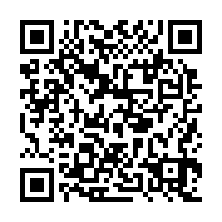 QR code for PUJ 333