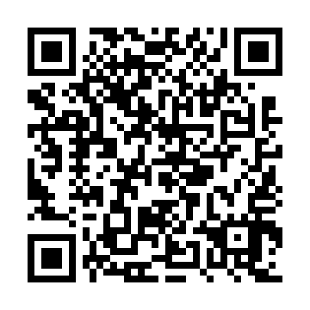 QR code for PUN 617