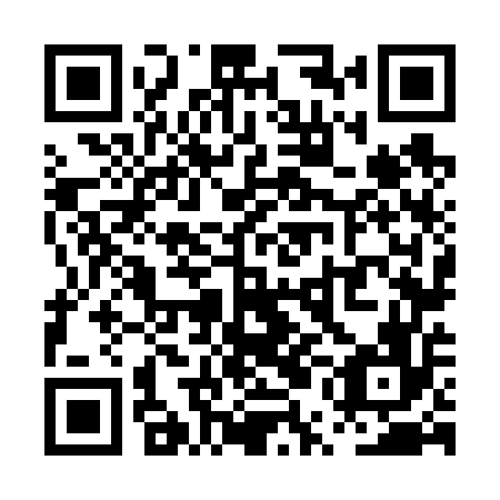 QR code for PUN 656