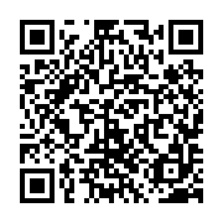 QR code for plate PUN 292