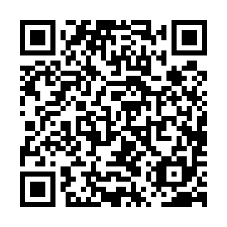QR code for PUP 595