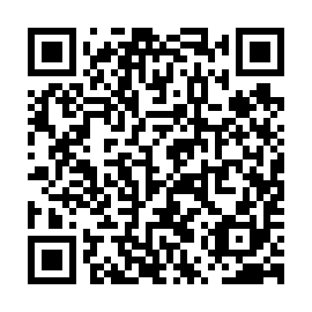 QR code for PUQ 690
