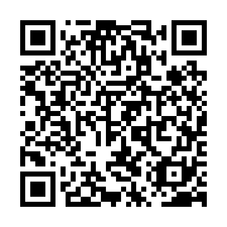 QR code for plate PUS 271
