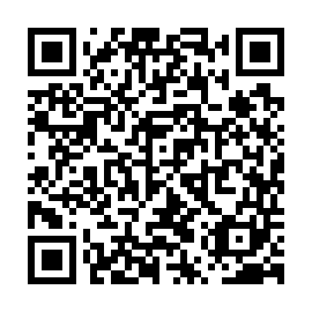 QR code for PUY 741