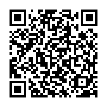 QR code for PUZ 169