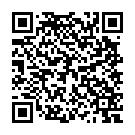 QR code for plate PVJ 063