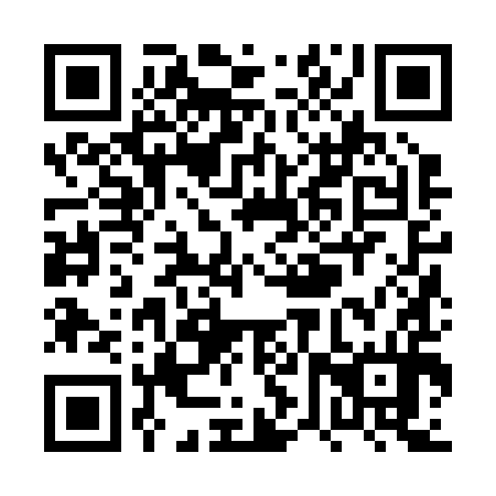 QR code for PVZ 294