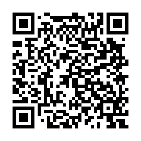 QR code for plate PYA 096