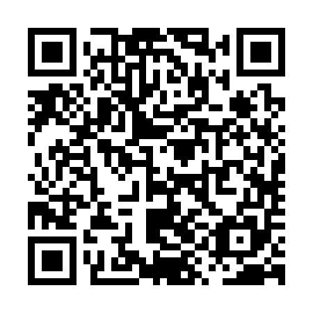 QR code for plate PYB 355
