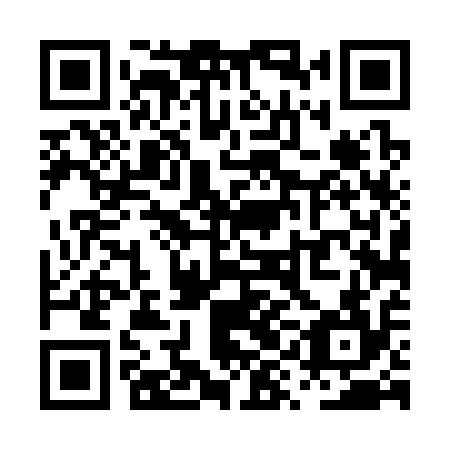QR code for PYD 314