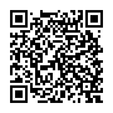 QR code for PYG 382