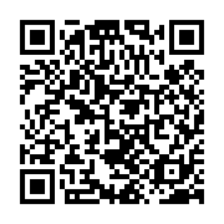 QR code for PYG 411