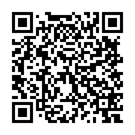 QR code for PYG 868