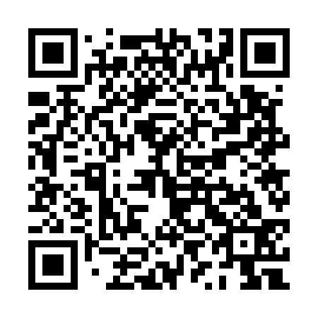 QR code for plate PYG 533