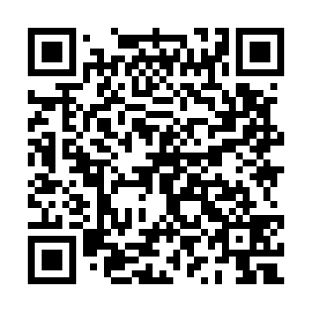 QR code for PYI 539