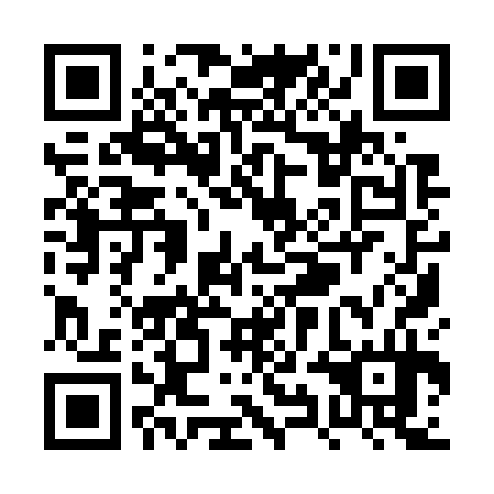 QR code for PYI 734