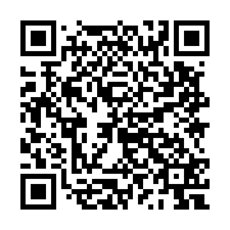 QR code for PYI521