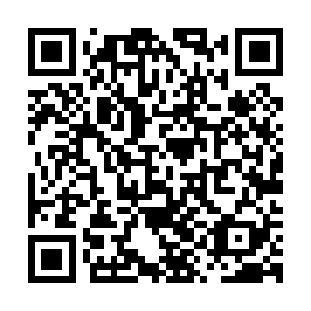 QR code for PYL 029