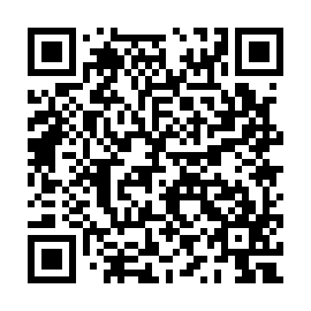 QR code for plate PYQ 197