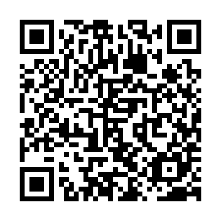 QR code for plate PYU 385