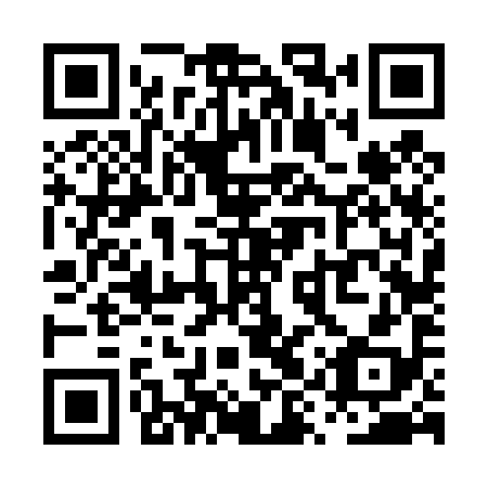 QR code for plate PYV 498