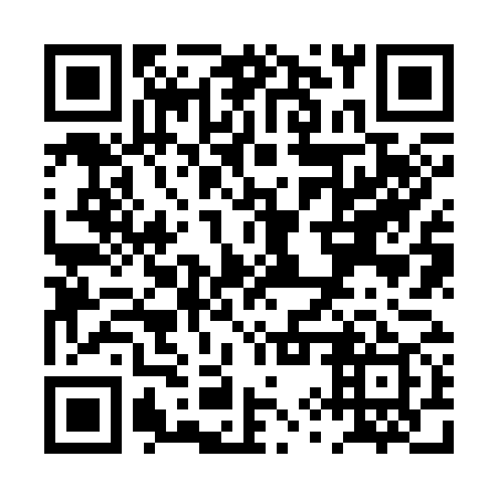 QR code for PYZ 379