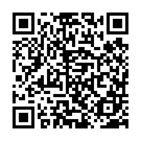 QR code for PYZ 602