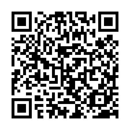 QR code for plate PYZ 400