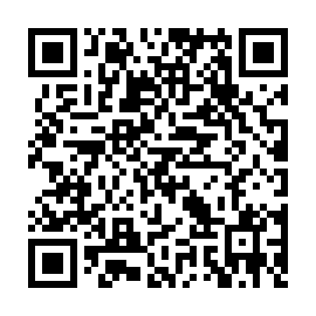 QR code for plate PYZ 401
