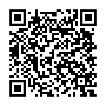 QR code for plate PYZ 419