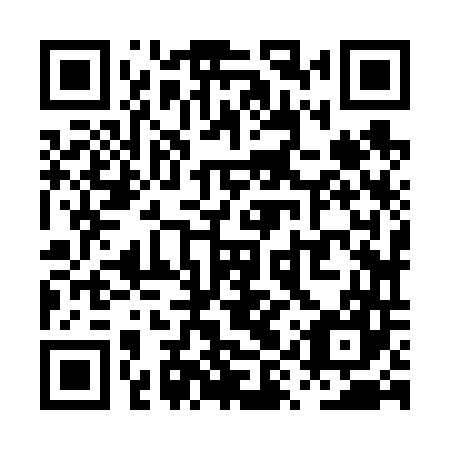 QR code for plate PYZ 647