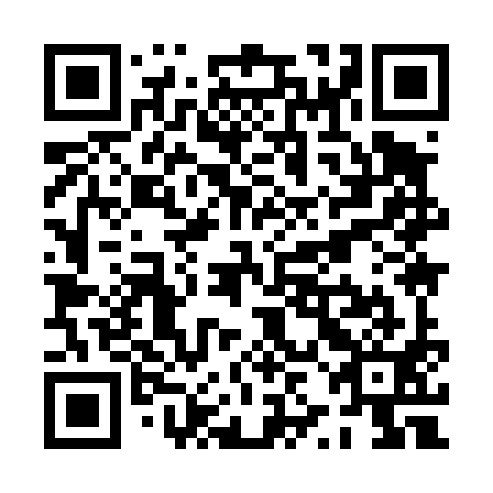 QR code for PZI 491