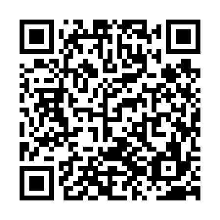 QR code for PZI636