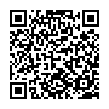 QR code for PZL 595