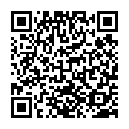 QR code for plate PZL 658