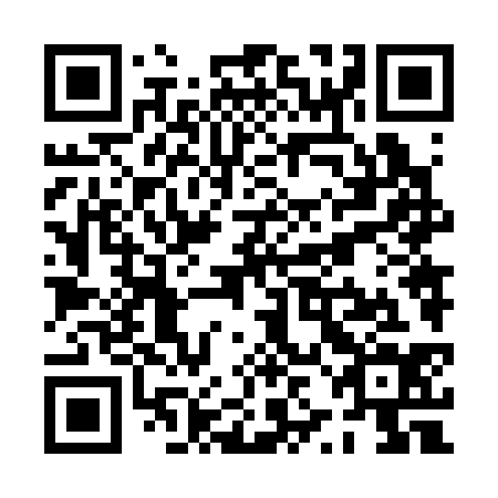 QR code for PZN 334