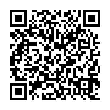 QR code for PZR113