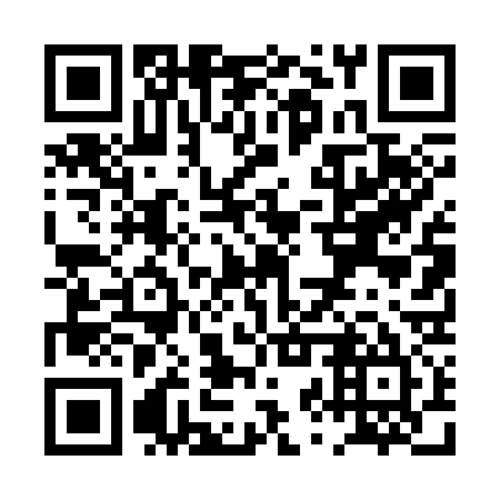 QR code for PZT 335