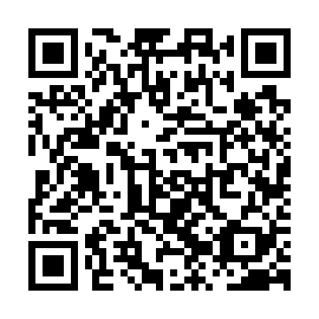 QR code for PZV 729