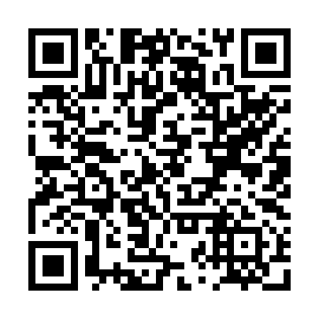 QR code for PZY 291