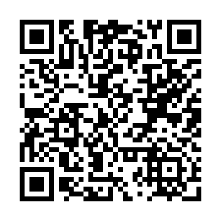 QR code for PZY 913