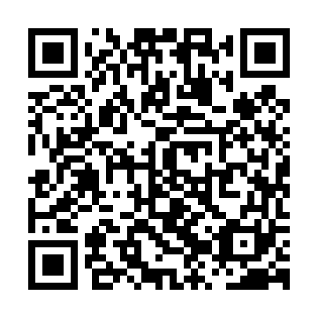 QR code for plate PZY 461