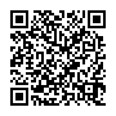 QR code for PZZ 312