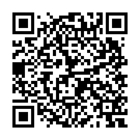 QR code for PZZ 652