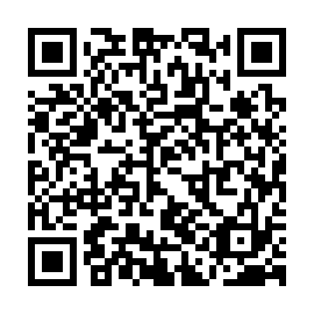 QR code for QAE 333