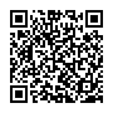 QR code for QAG 233