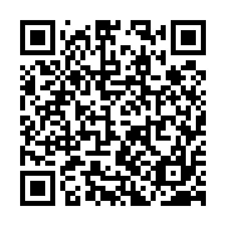 QR code for plate QAG 517